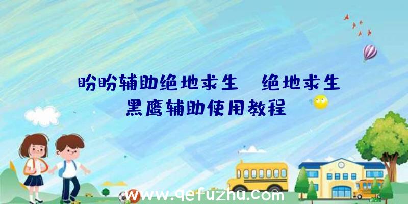 「盼盼辅助绝地求生」|绝地求生黑鹰辅助使用教程